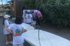 WhatsApp-Image-2025-04-25-at-11.28.24