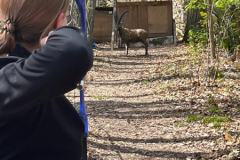 WhatsApp-Image-2023-04-16-at-20.17.10