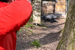 WhatsApp-Image-2023-04-16-at-20.17.104