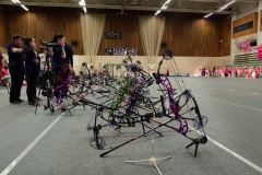 Coupe_des_Miss_9_Mars_2019-91_(Copier)