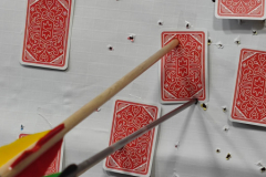 WhatsApp-Image-2024-01-21-at-17.55.13