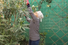 ACSIM_Travaux_2018-13