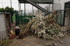 Opération_Rangement-__23_Mars_2019-10_1