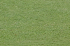 2013-10-12-d700-bornet-championnat-de-france-de-tir-%c3%a0-larc-par-%c3%a9quipes-005