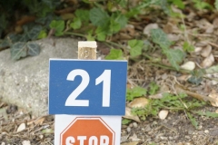 2013-10-12-d700-bornet-championnat-de-france-de-tir-%c3%a0-larc-par-%c3%a9quipes-006